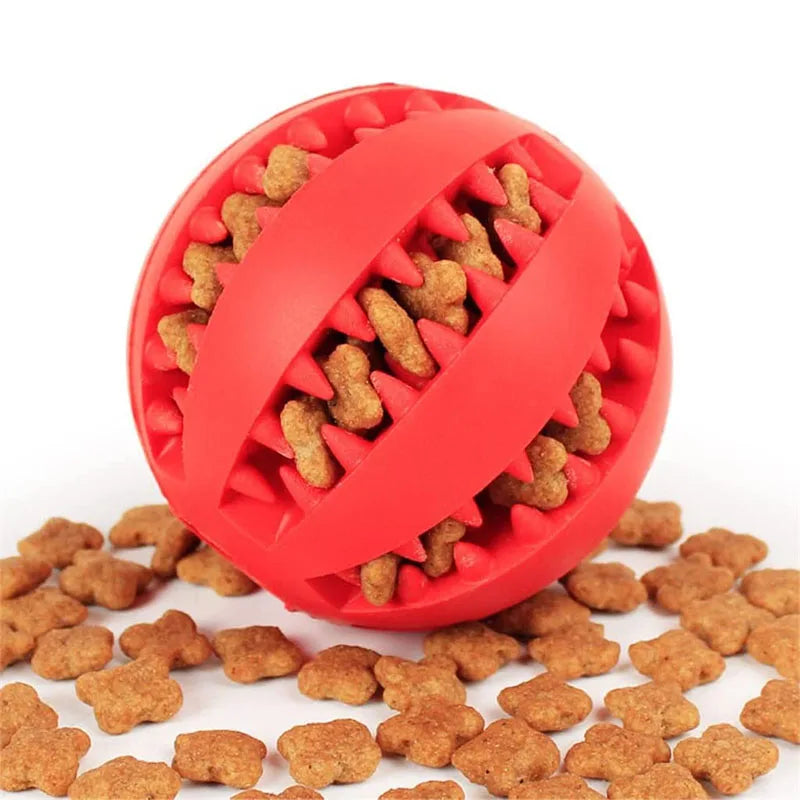 Interactive Toys & Dental Chew