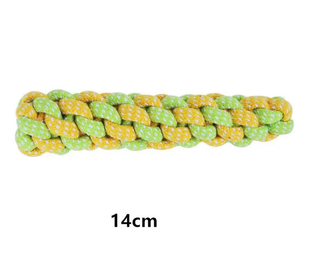 Interactive Toys & Dental Chew