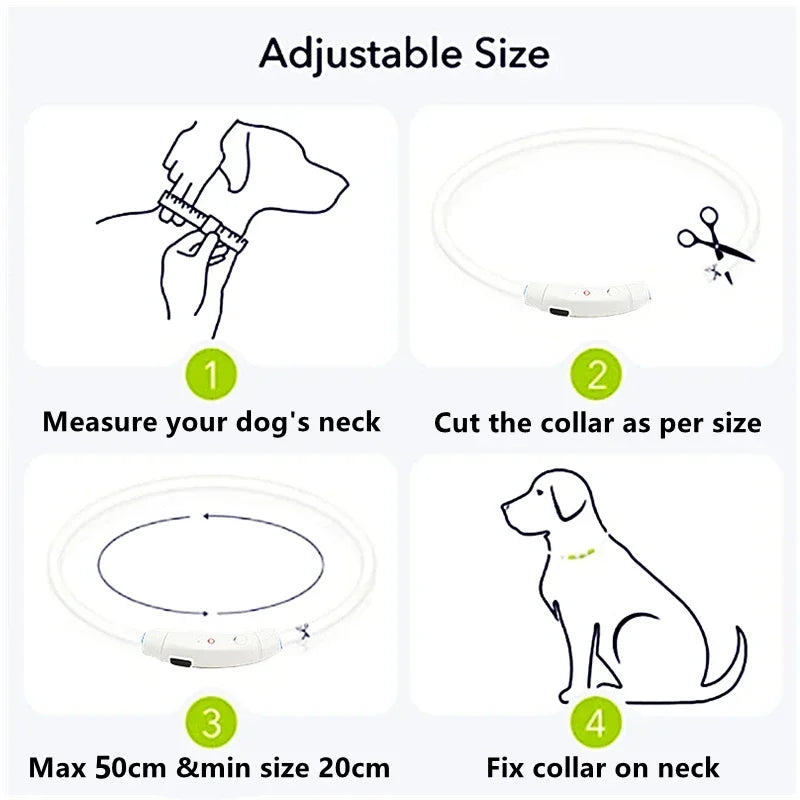 Visibility & Safety Accessories