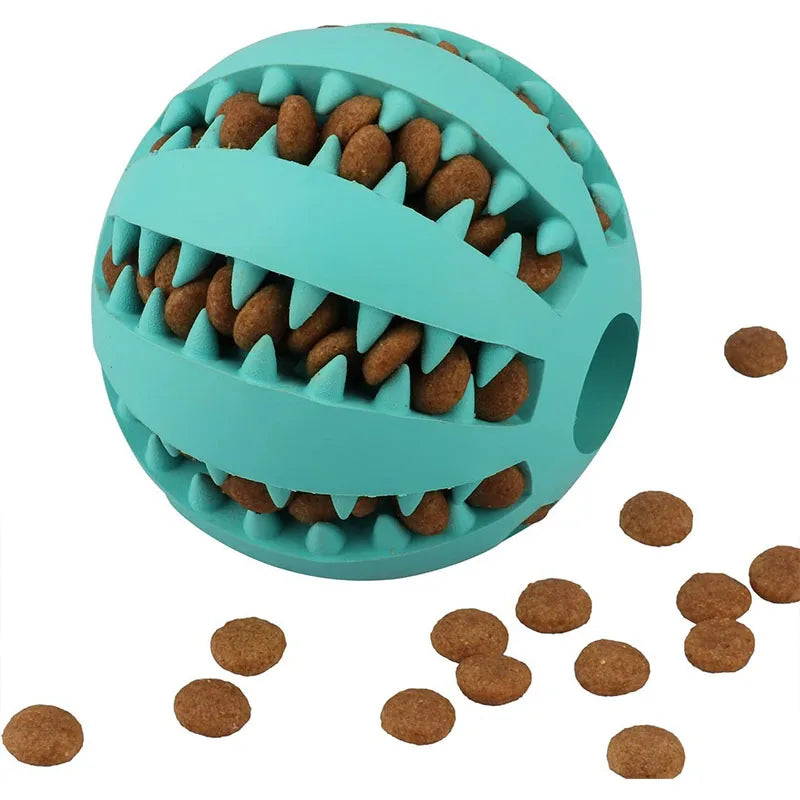 Interactive Toys & Dental Chew
