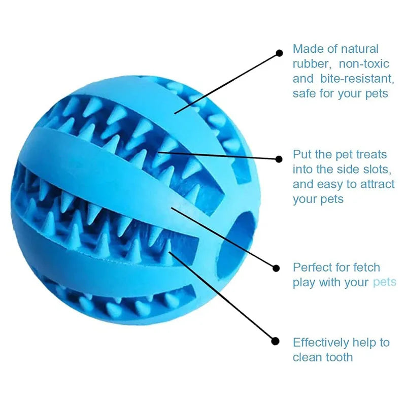 Interactive Toys & Dental Chew