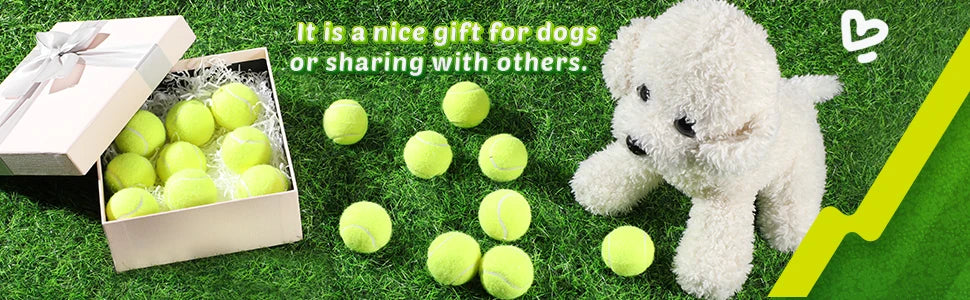 Interactive Toys & Outdoor Fun