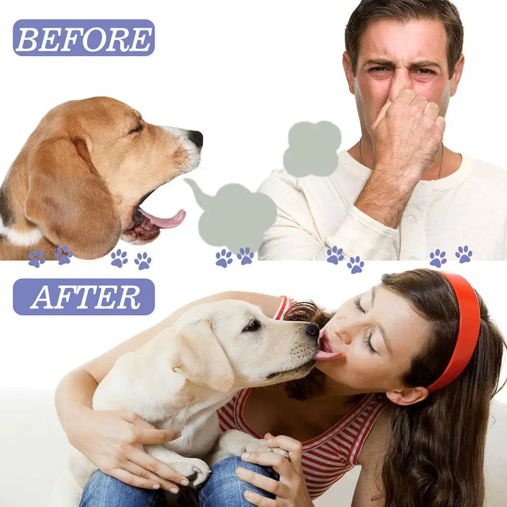 Oral Hygiene & Wellbeing