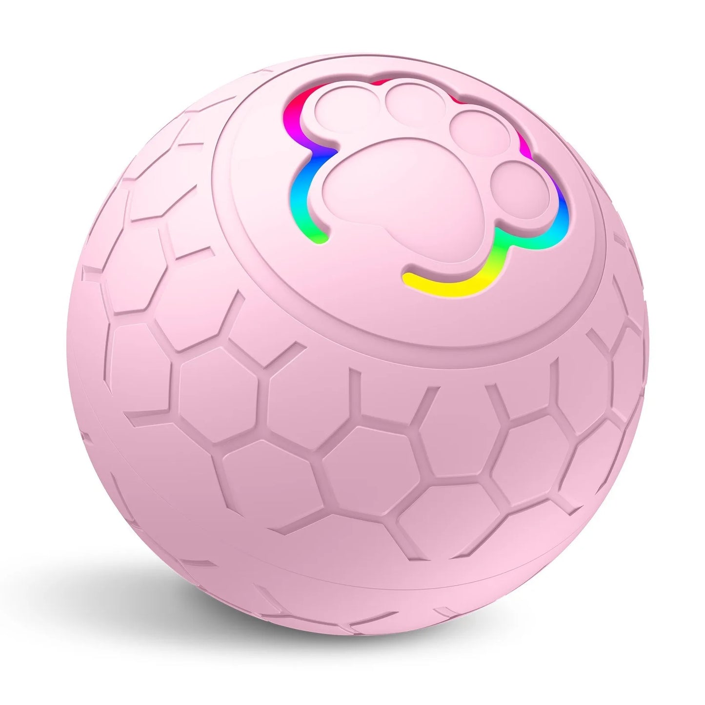 Interactive Toys & Indoor Action
