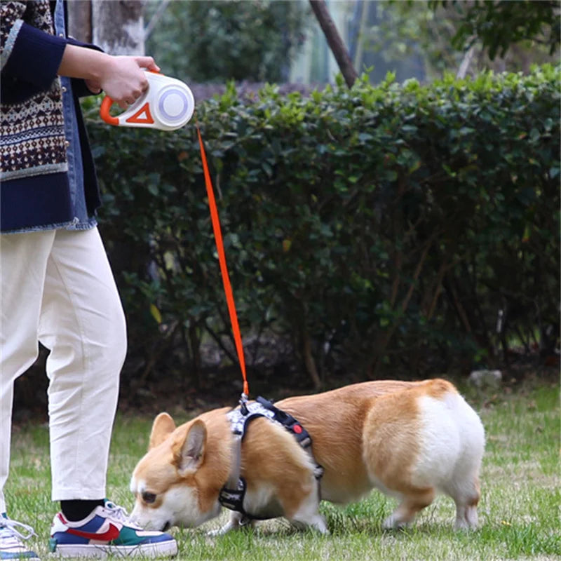 Walks & Outdoor Essentials