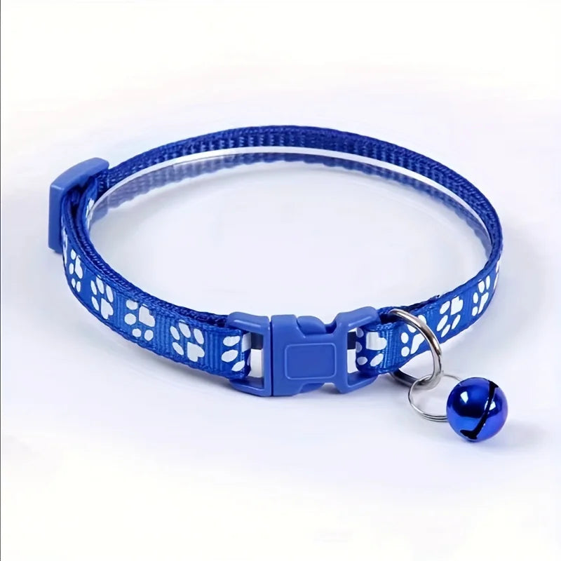 Collars & Safety Accessories