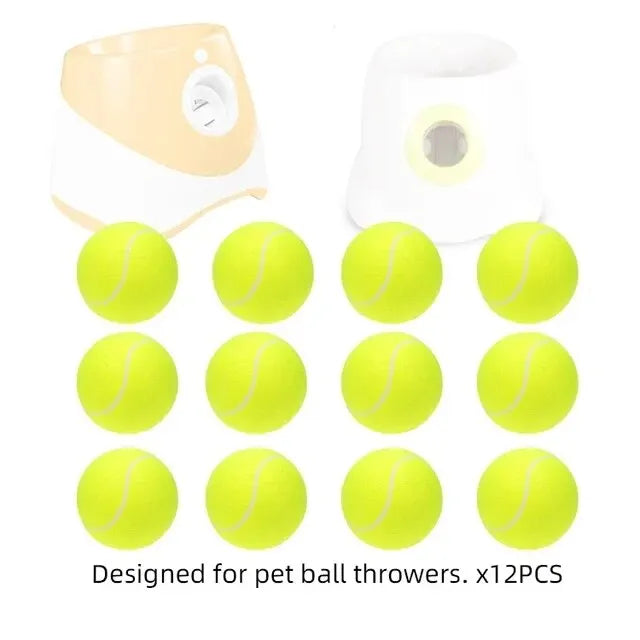 Interactive Toys & Outdoor Fun