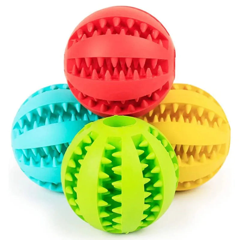 Interactive Toys & Dental Chew