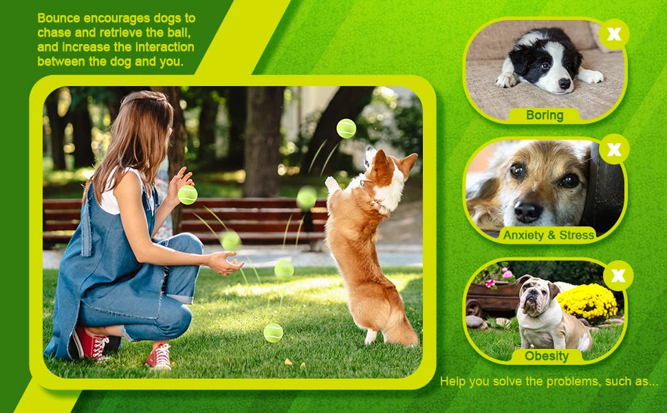 Interactive Toys & Outdoor Fun