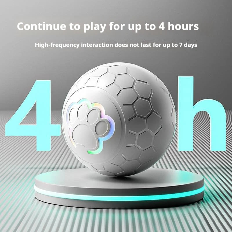Interactive Toys & Indoor Action