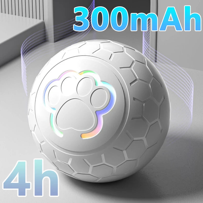 Interactive Toys & Indoor Action