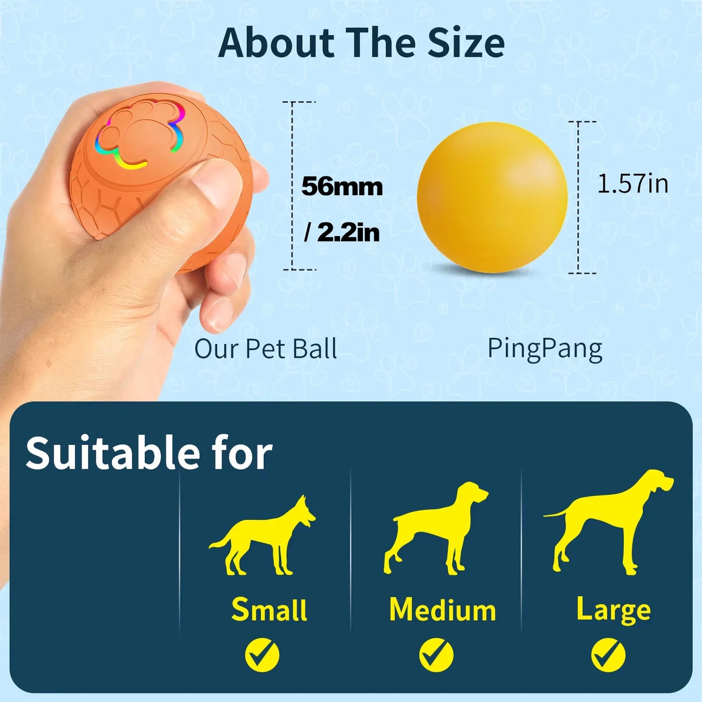 Interactive Toys & Indoor Action