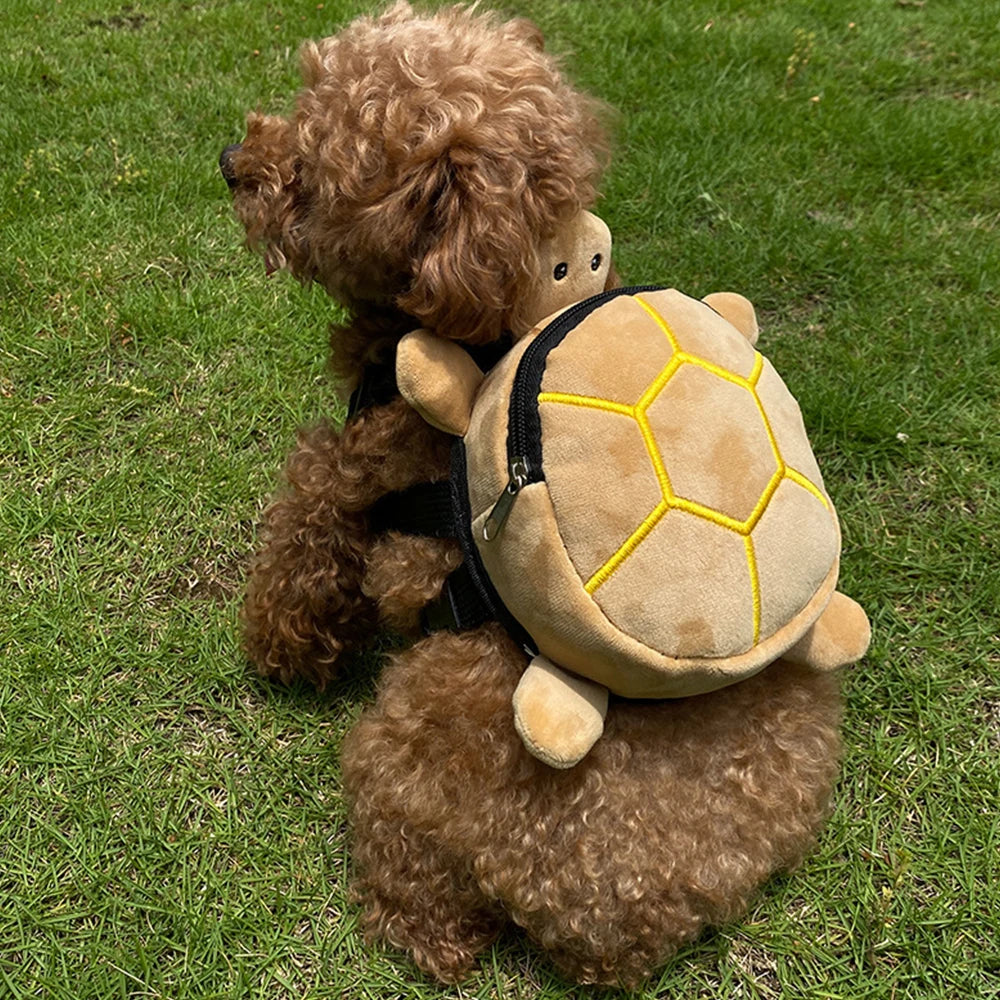 Training & Walk Accessories