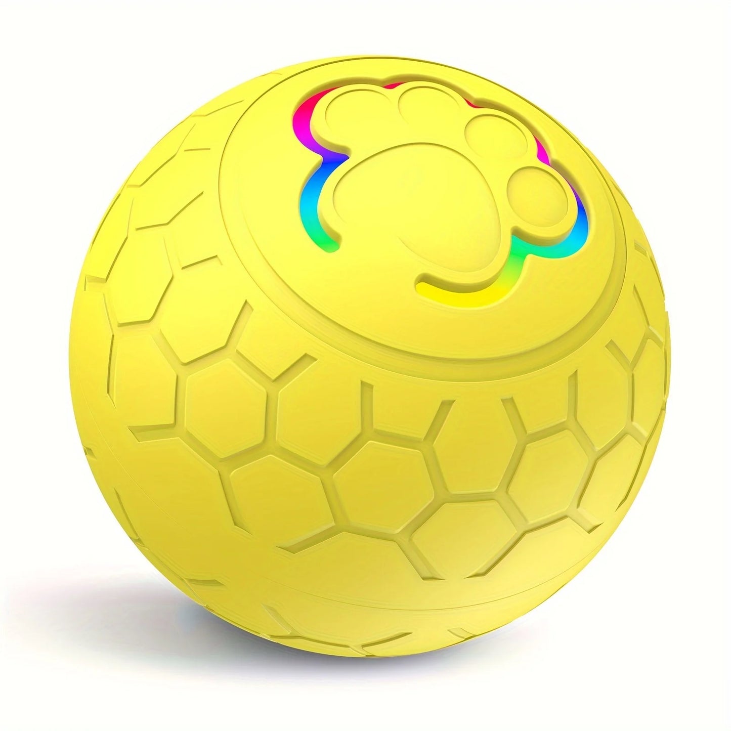 Interactive Toys & Indoor Action