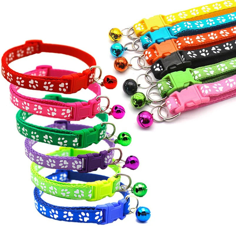 Collars & Safety Accessories