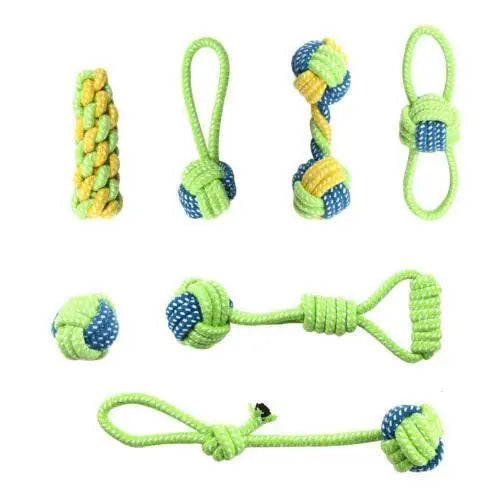 Interactive Toys & Dental Chew