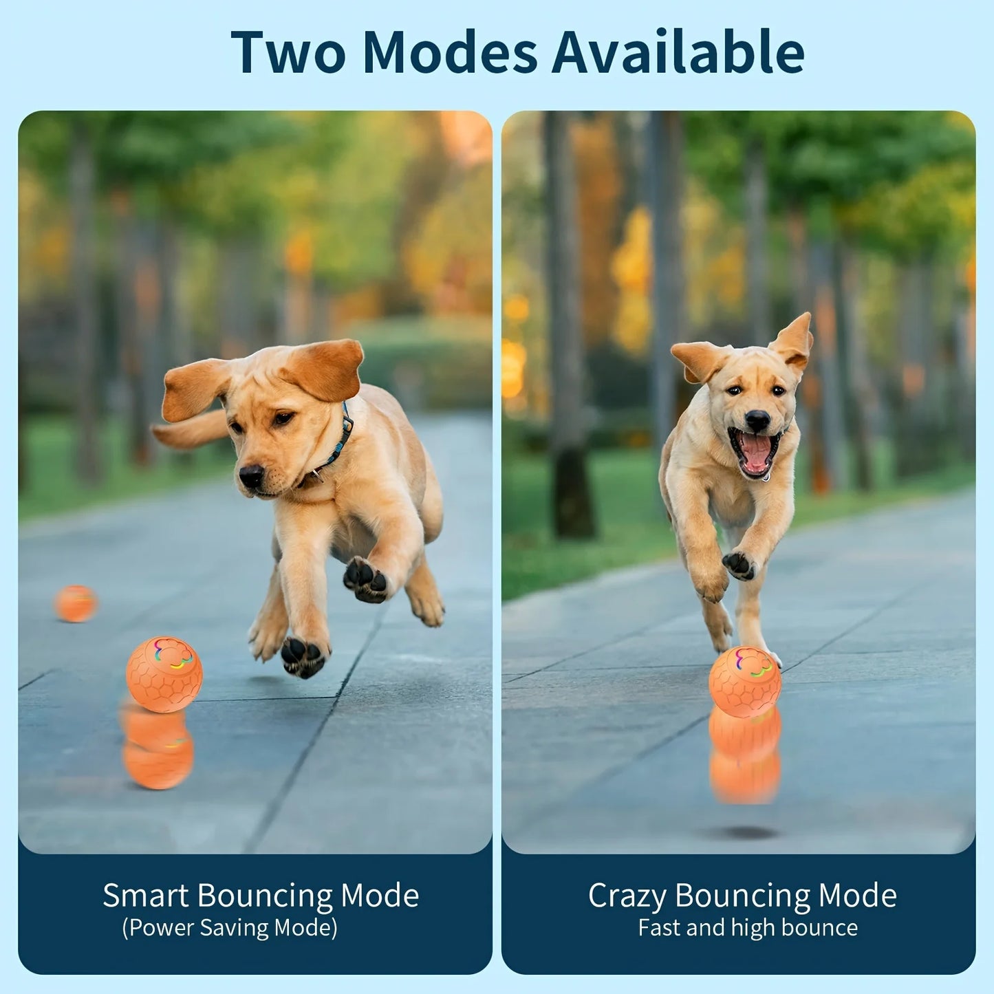 Interactive Toys & Indoor Action