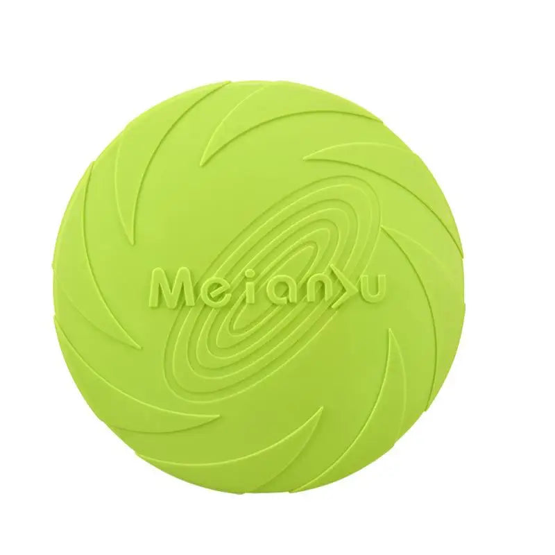Interactive Toys & Outdoor Fun