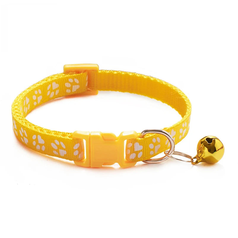 Collars & Safety Accessories