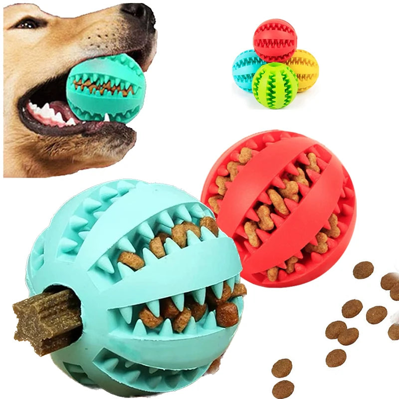 Interactive Toys & Dental Chew