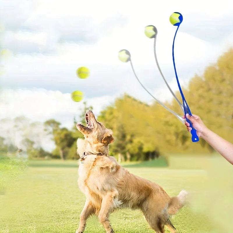 Interactive Toys & Outdoor Fun