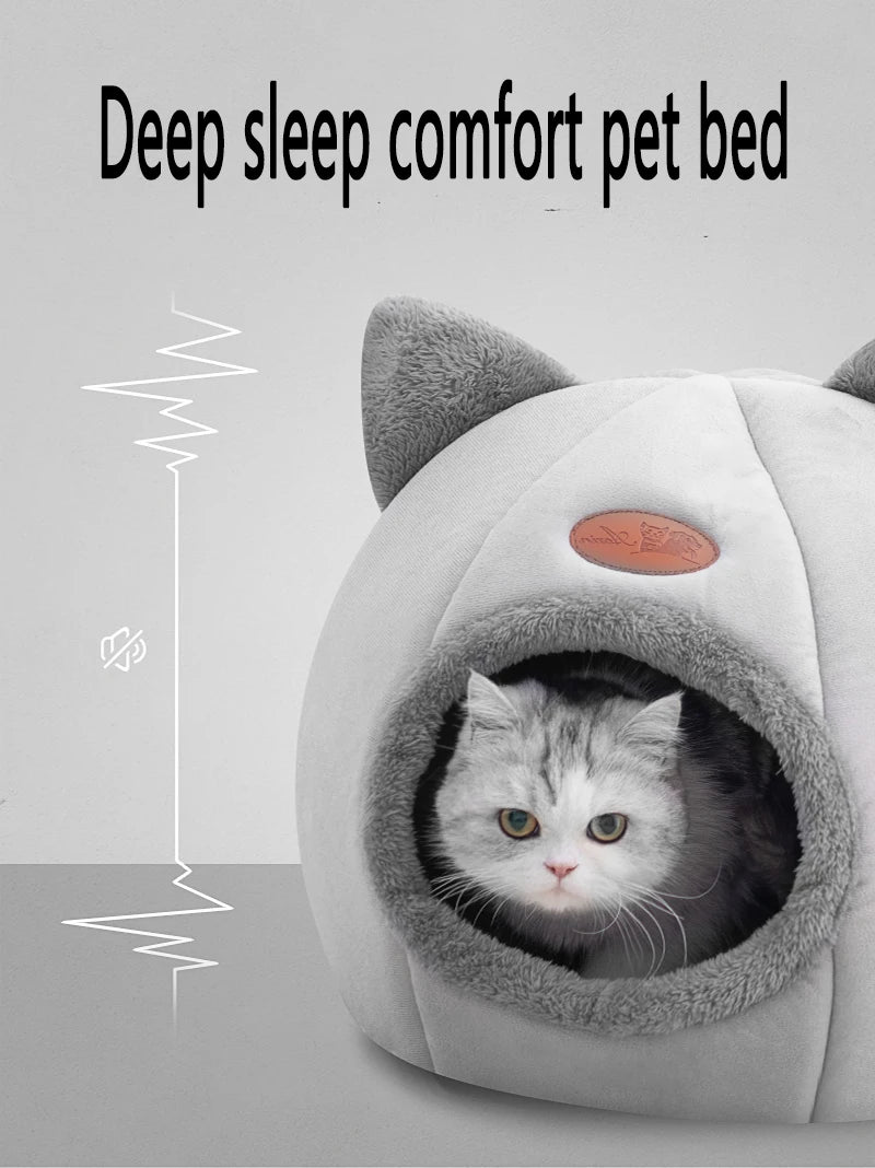 Beds & Sleep Comfort