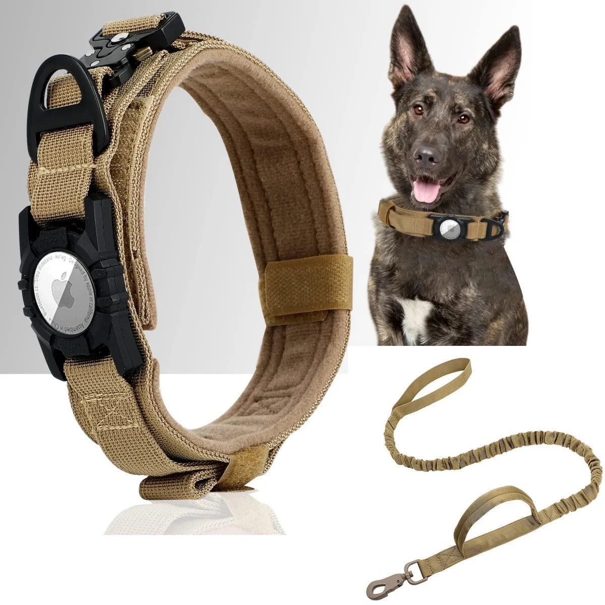 Safety & Tracking Essentials