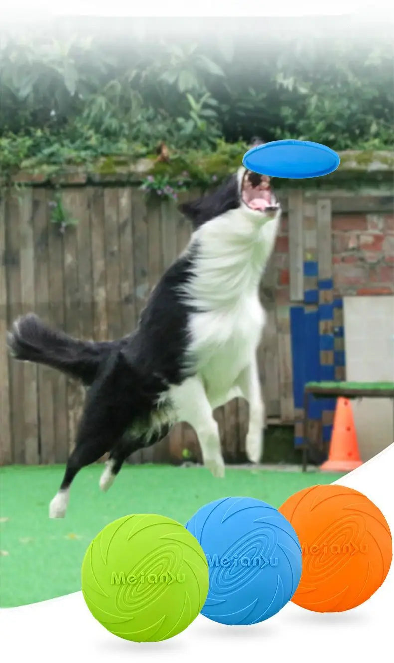 Interactive Toys & Outdoor Fun