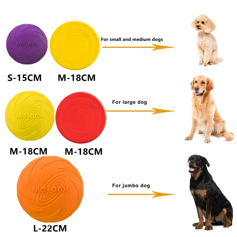 Interactive Toys & Outdoor Fun