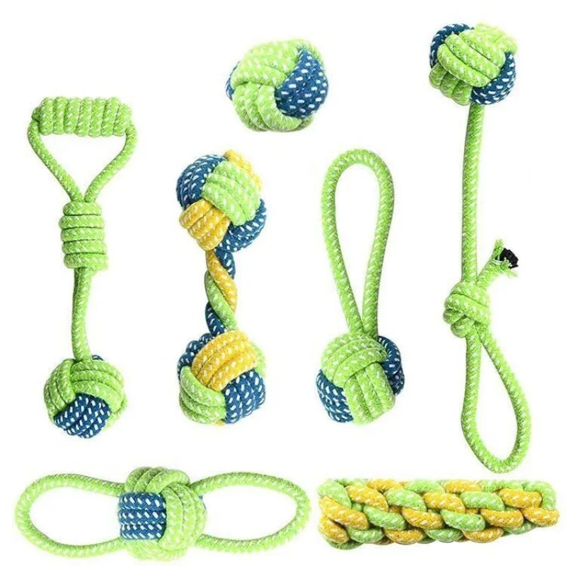 Interactive Toys & Dental Chew