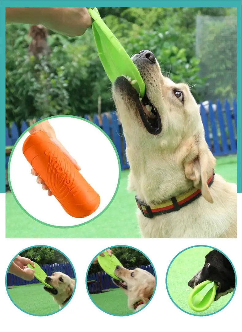 Interactive Toys & Outdoor Fun
