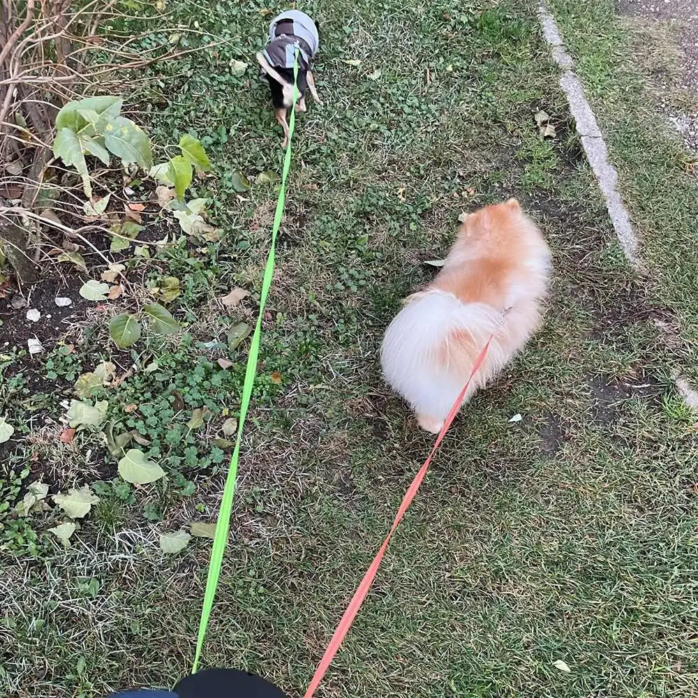 Walks & Outdoor Essentials