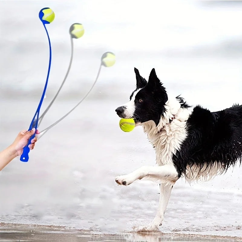 Interactive Toys & Outdoor Fun