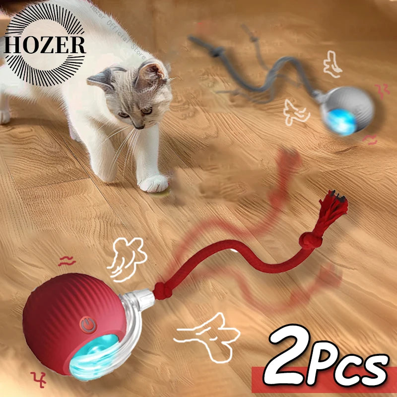 Interactive Toys & Playtime Enrichment