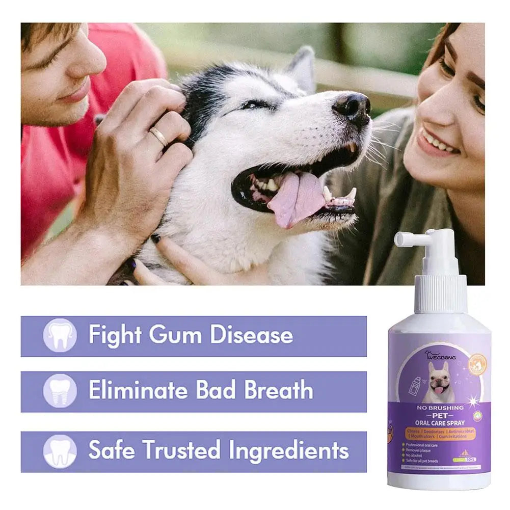 Oral Hygiene & Wellbeing