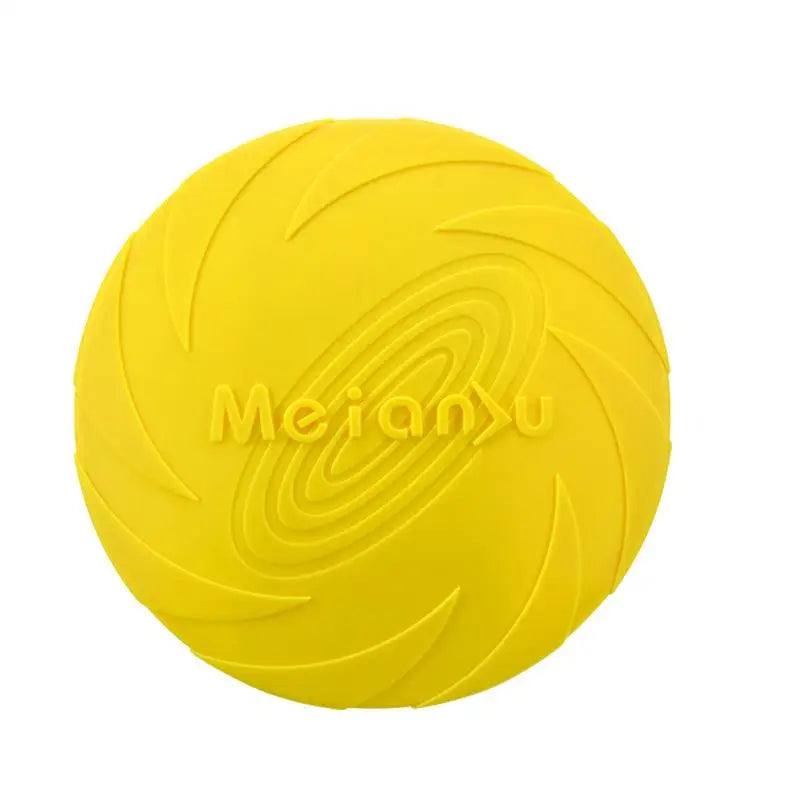 Interactive Toys & Outdoor Fun