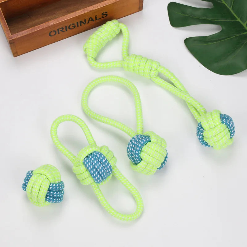 Interactive Toys & Dental Chew