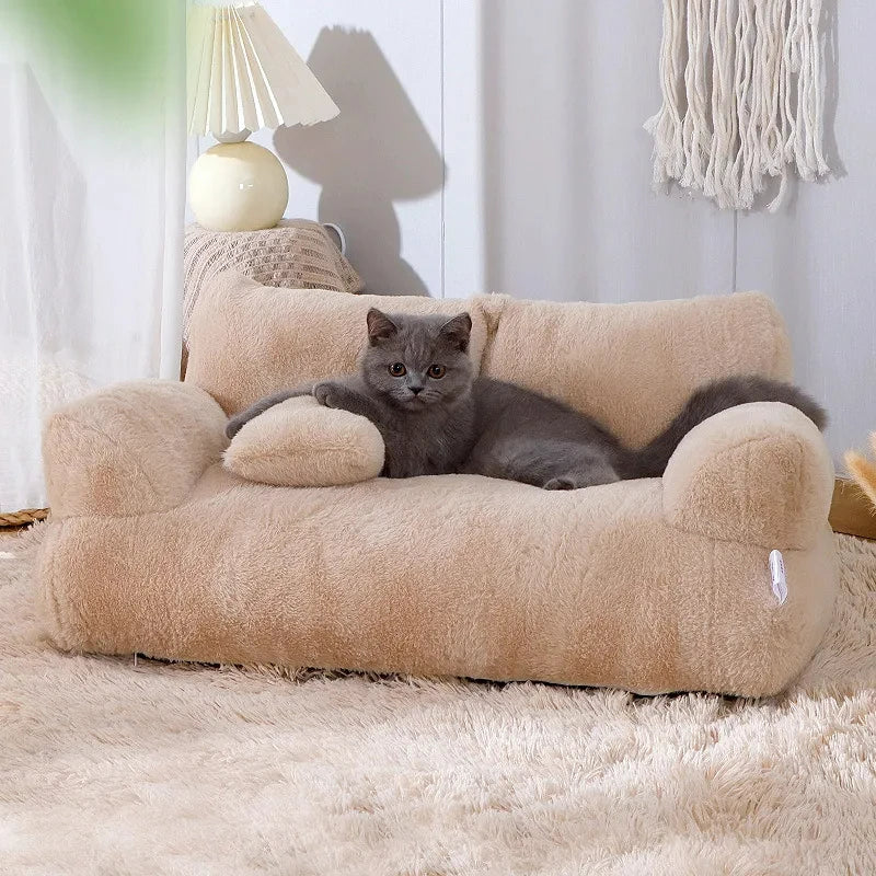 Beds & Sleep Comfort