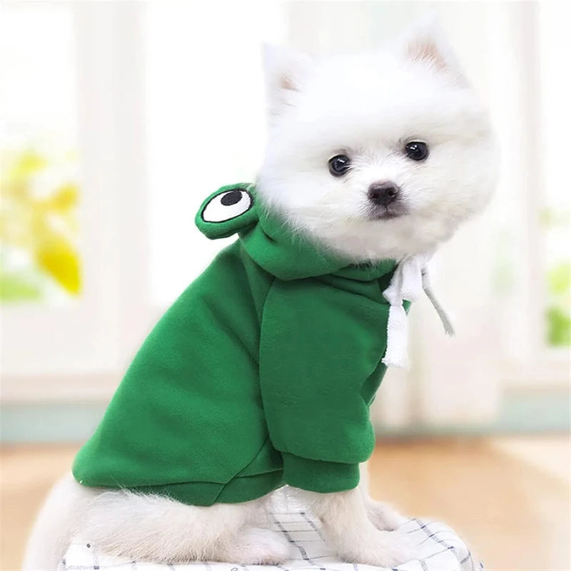 Pet Apparel & Winter Coats