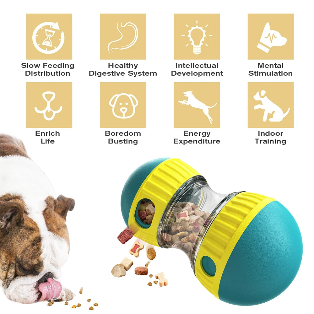 Interactive Toys & Slow-Feed Enrichment