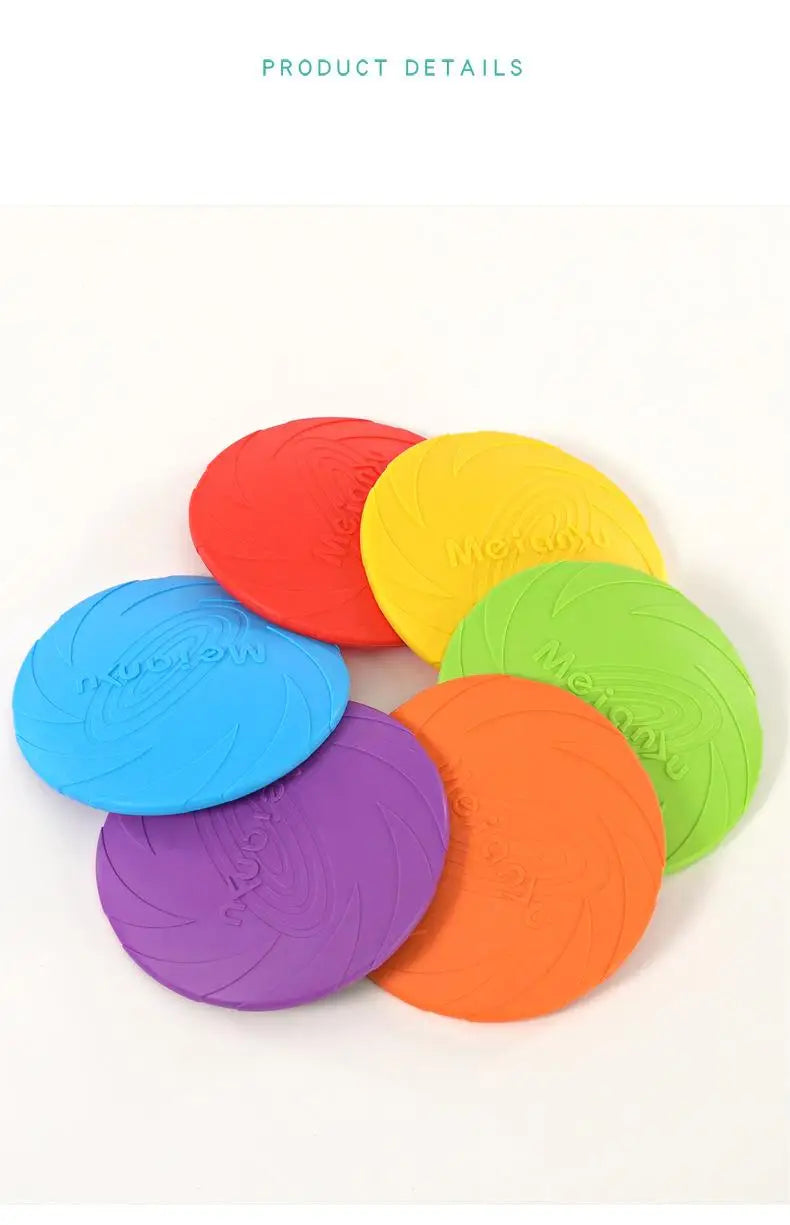 Interactive Toys & Outdoor Fun