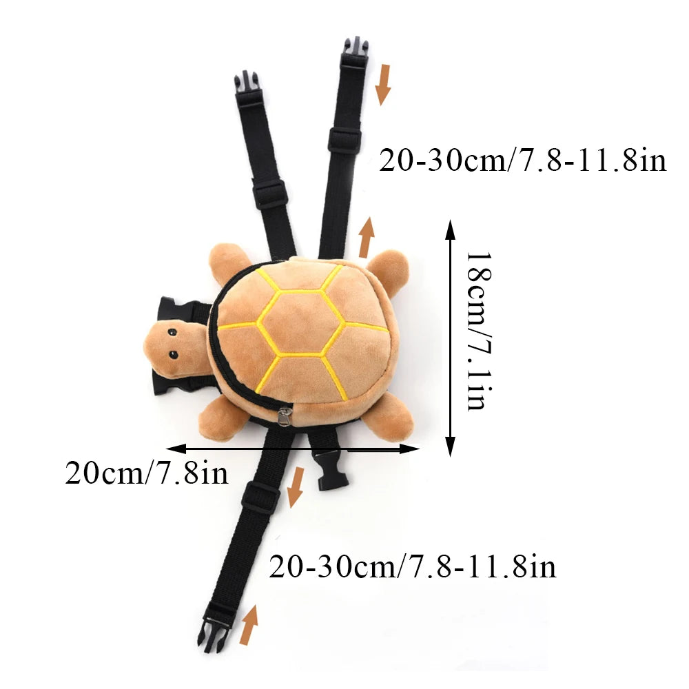 Training & Walk Accessories