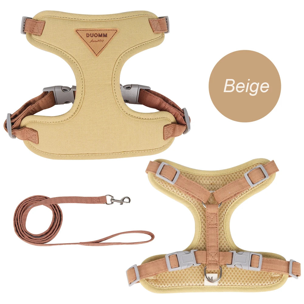 Outdoor & Walk Essentials