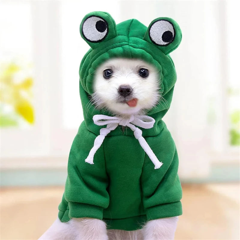 Pet Apparel & Winter Coats