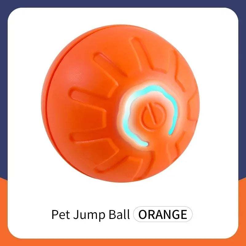 Interactive Toys & Indoor Action