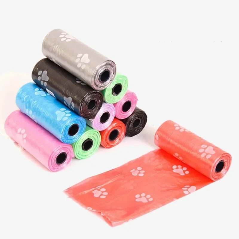 Walks & Eco-Friendly Essentials