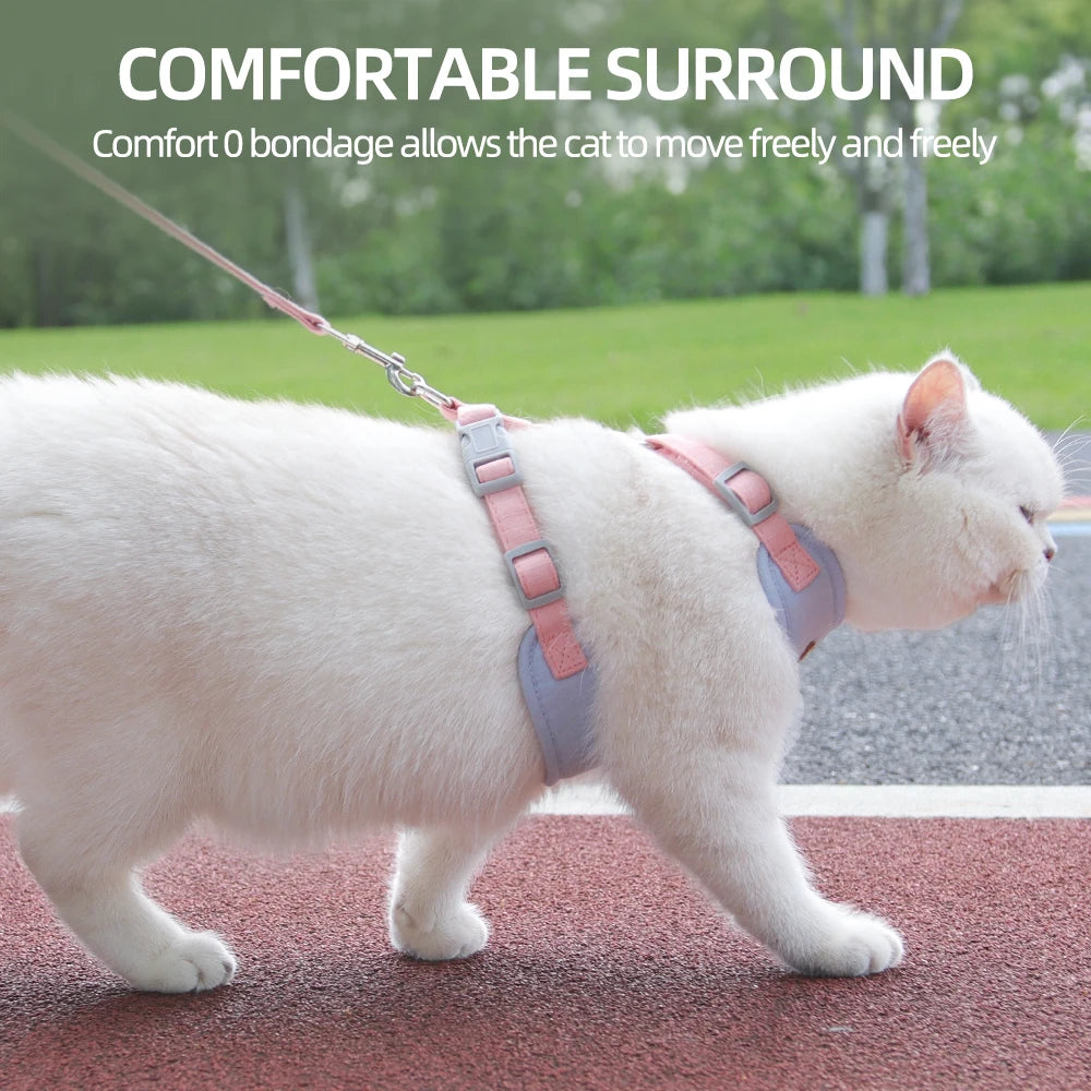Outdoor & Walk Essentials