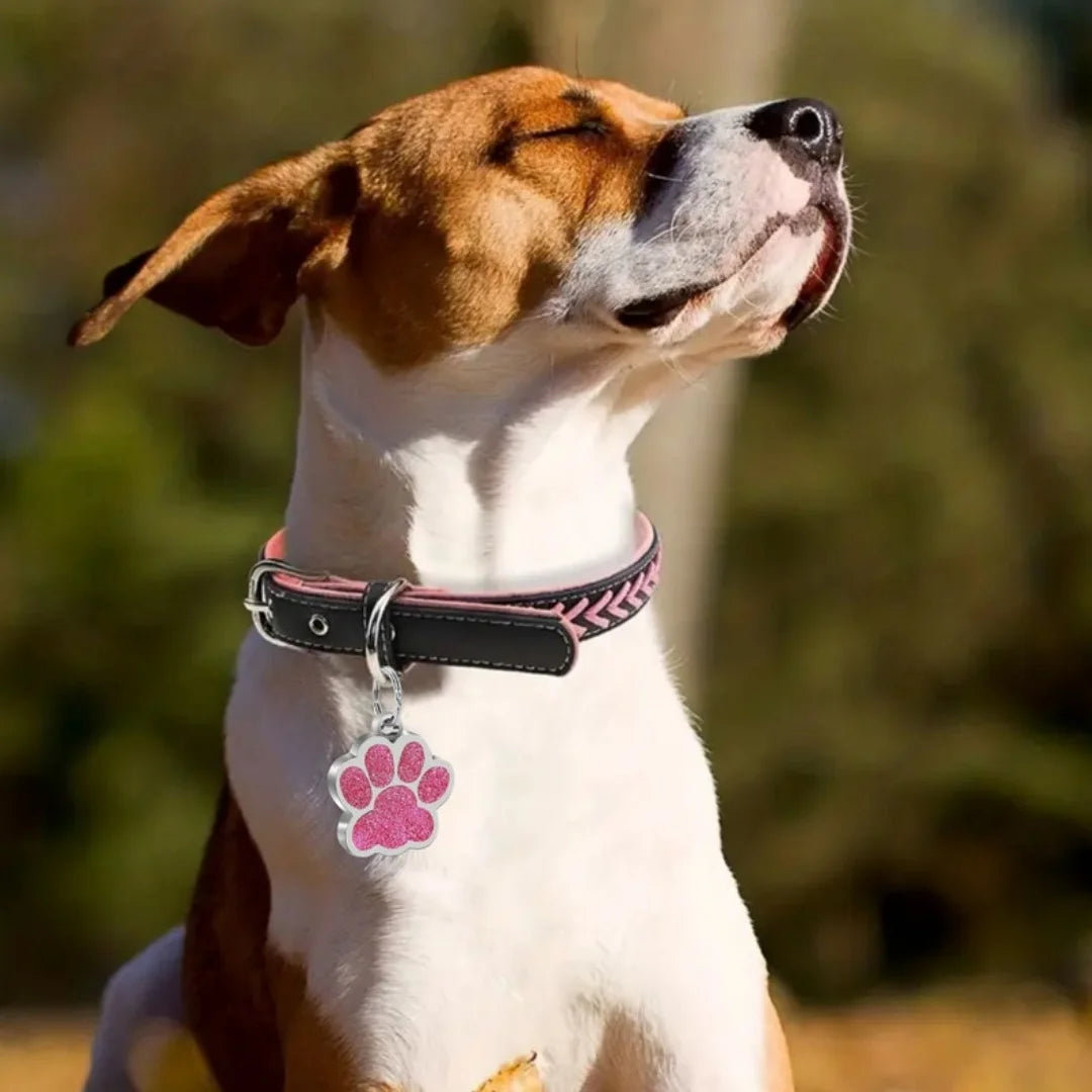 ID Tags & Personal Safety