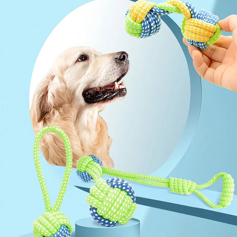 Interactive Toys & Dental Chew