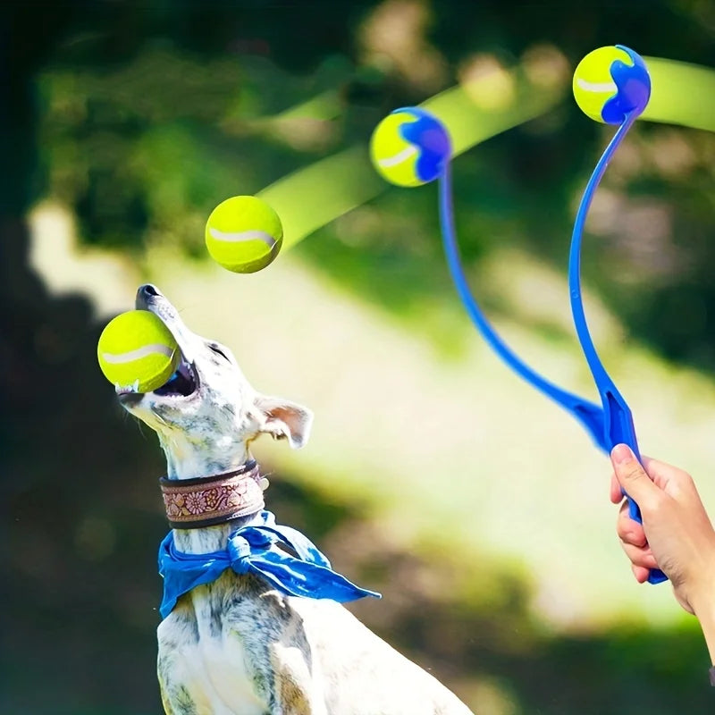 Interactive Toys & Outdoor Fun